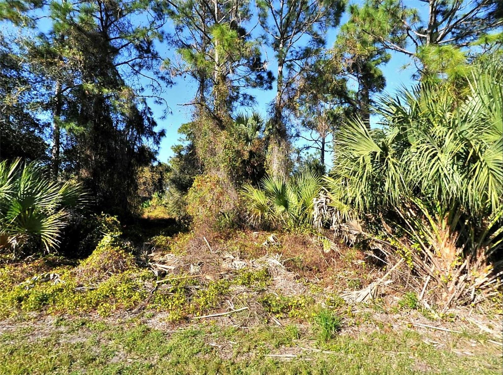 Lot 24 Renfro Ave Property Photo 1