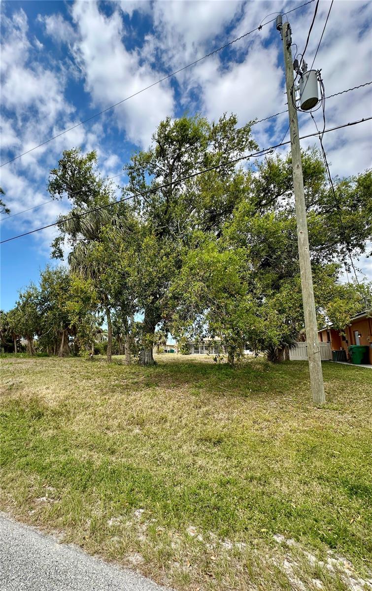 45 Long Meadow Ln Property Photo 4