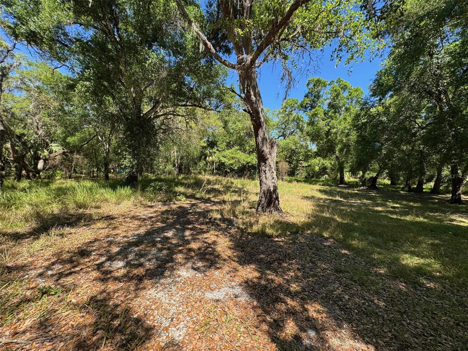 1284 Ne River Mill Dr Property Photo