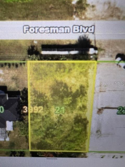 12171 FORESMAN BLVD Property Photo 1