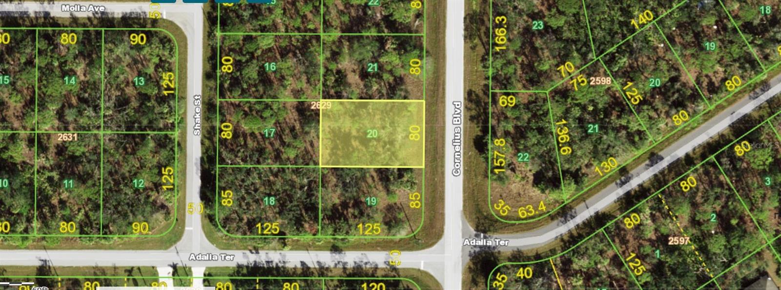 1355 CORNELIUS BLVD Property Photo 1