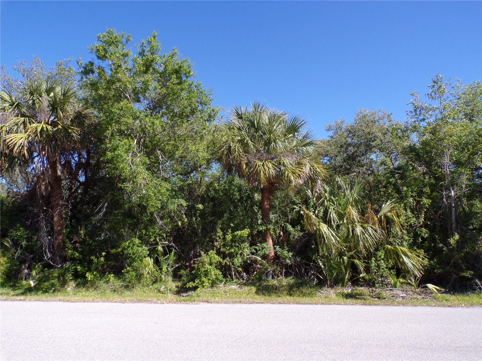 26046 SCHAM RD Property Photo 1