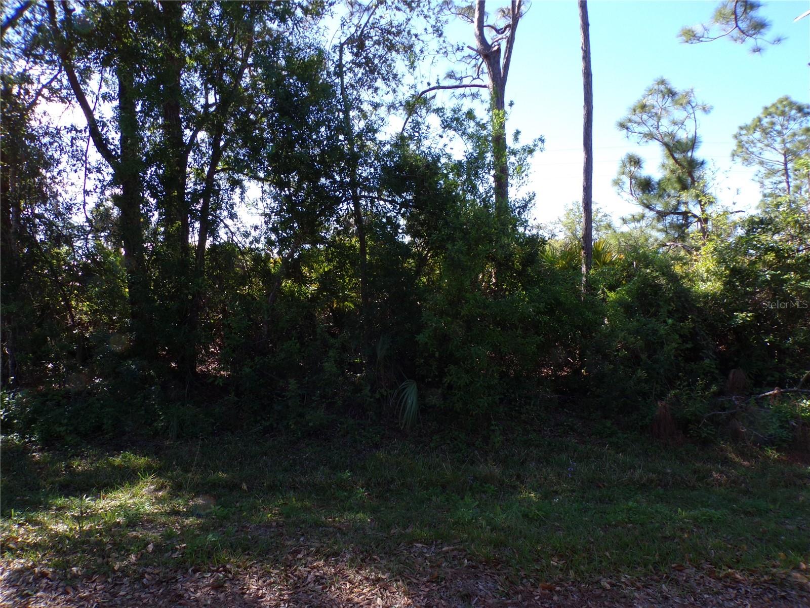 26251 HAPSBURG RD Property Photo 1