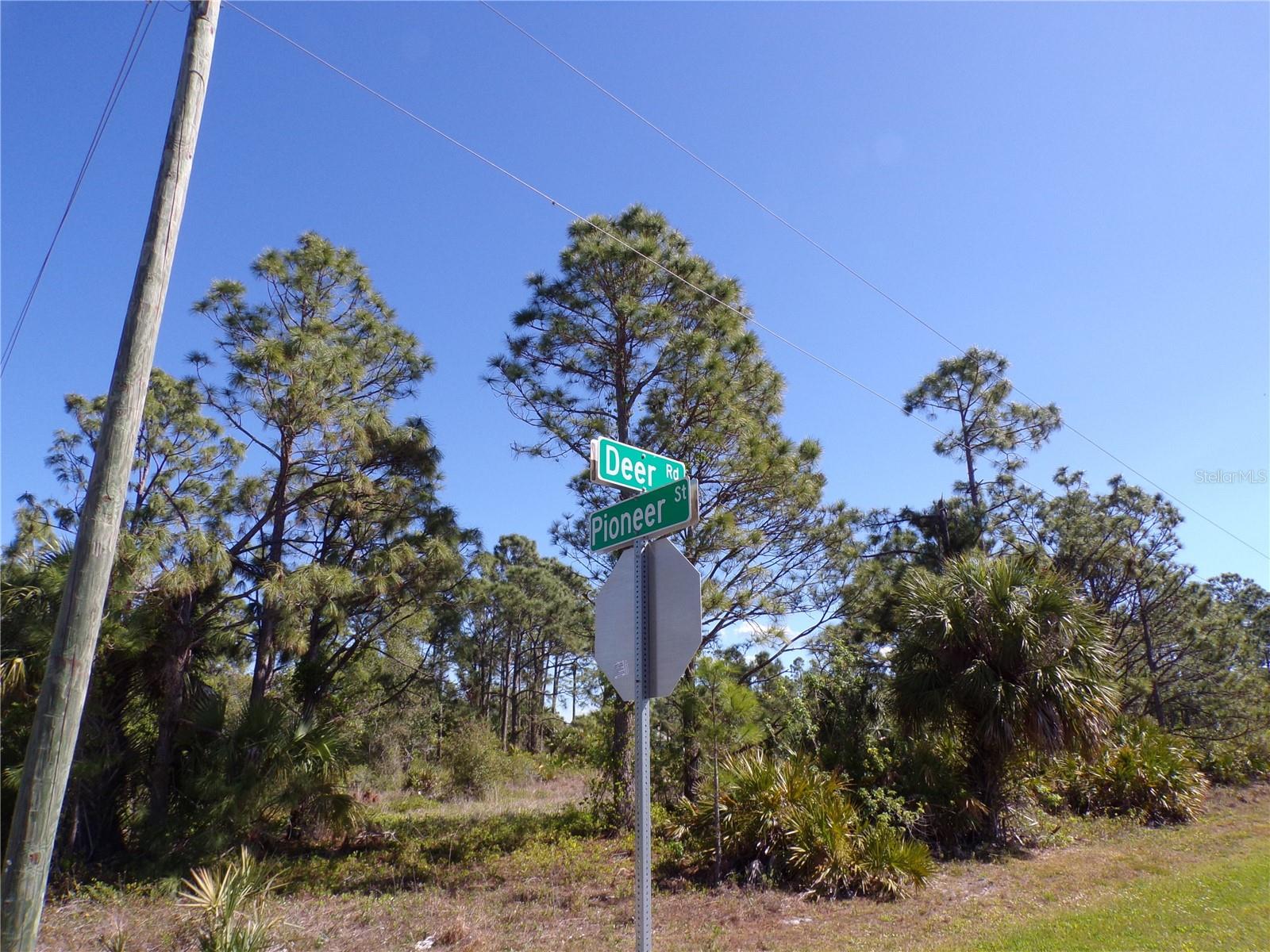 26272 Deer Rd Property Photo 8