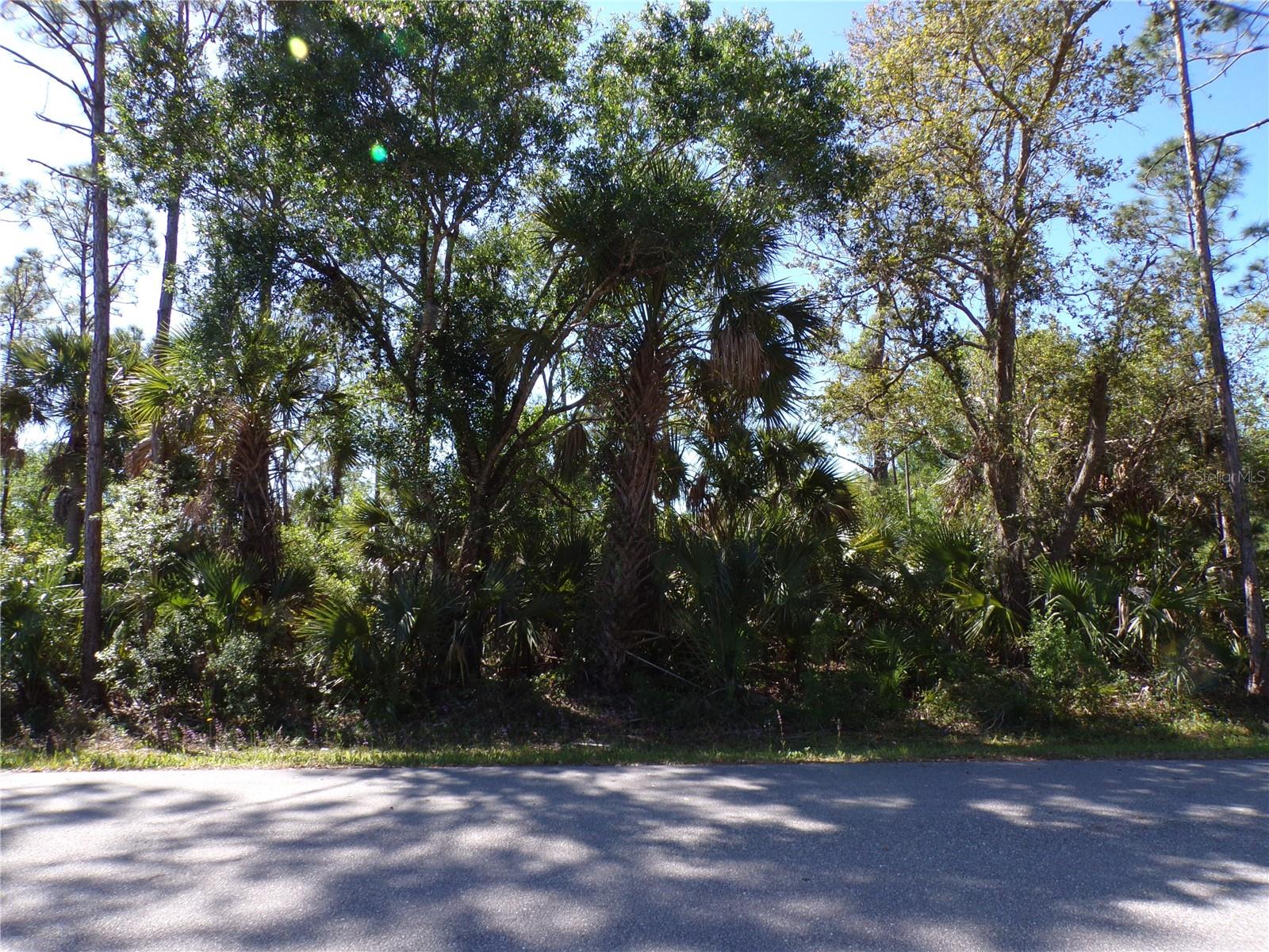 26215 Custer Rd Property Photo 1