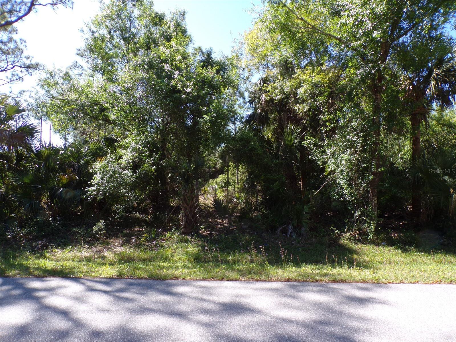 26215 Custer Rd Property Photo 2