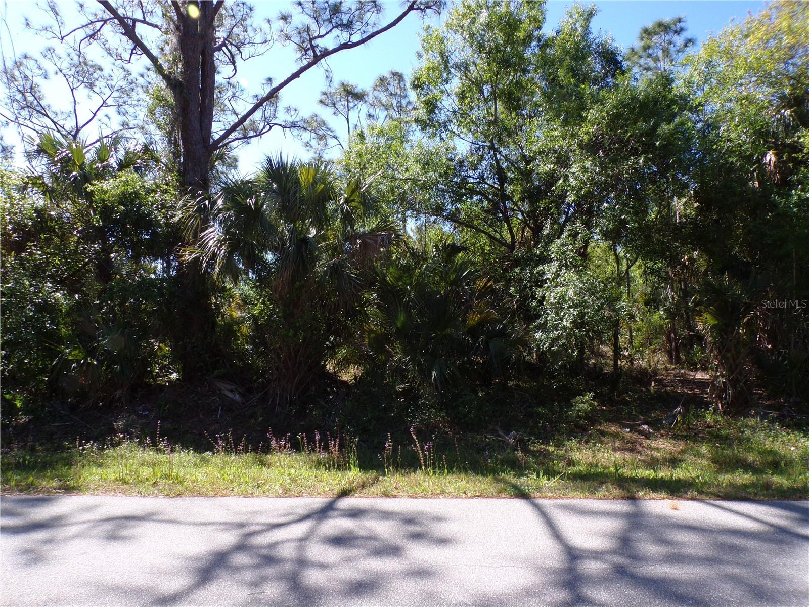 26215 Custer Rd Property Photo 5