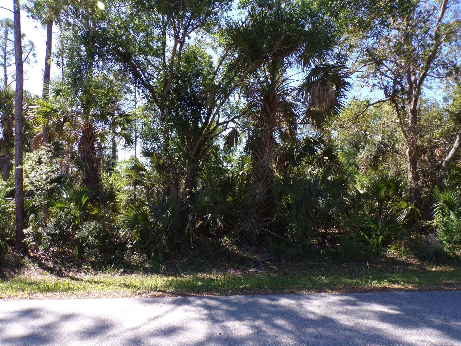 26203 Custer Rd Property Photo 6