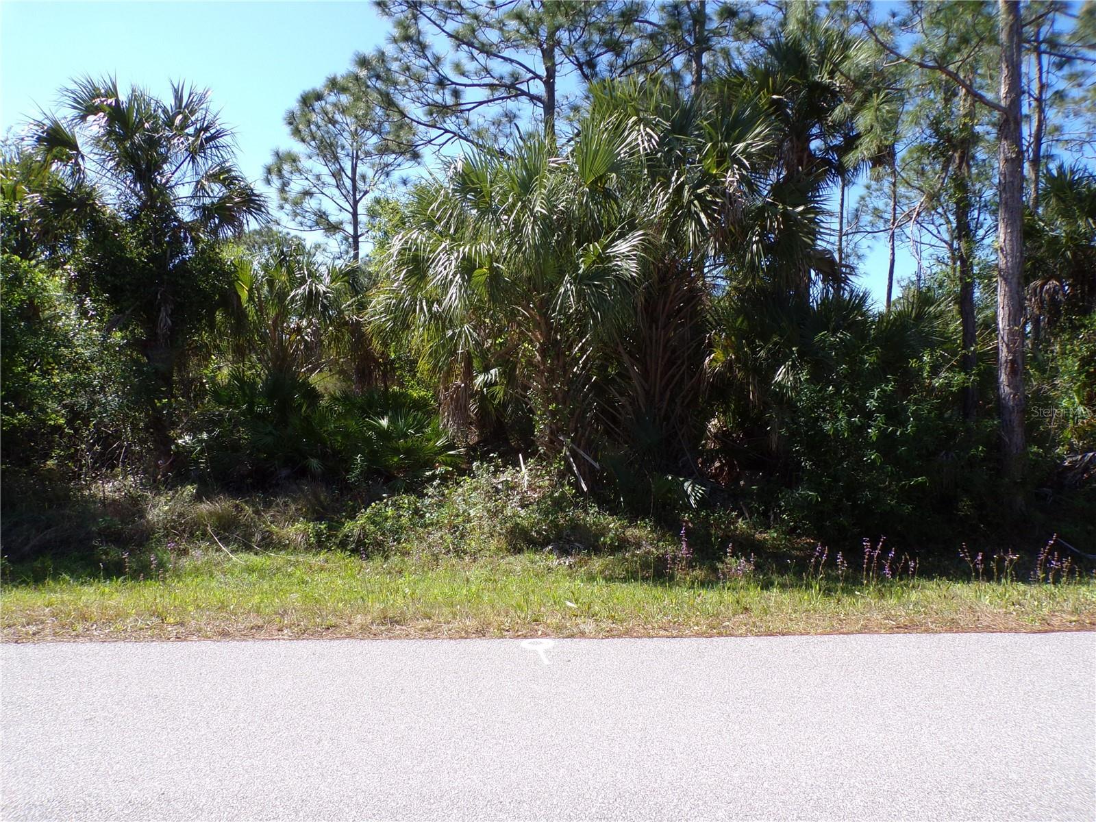 26203 Custer Rd Property Photo 10