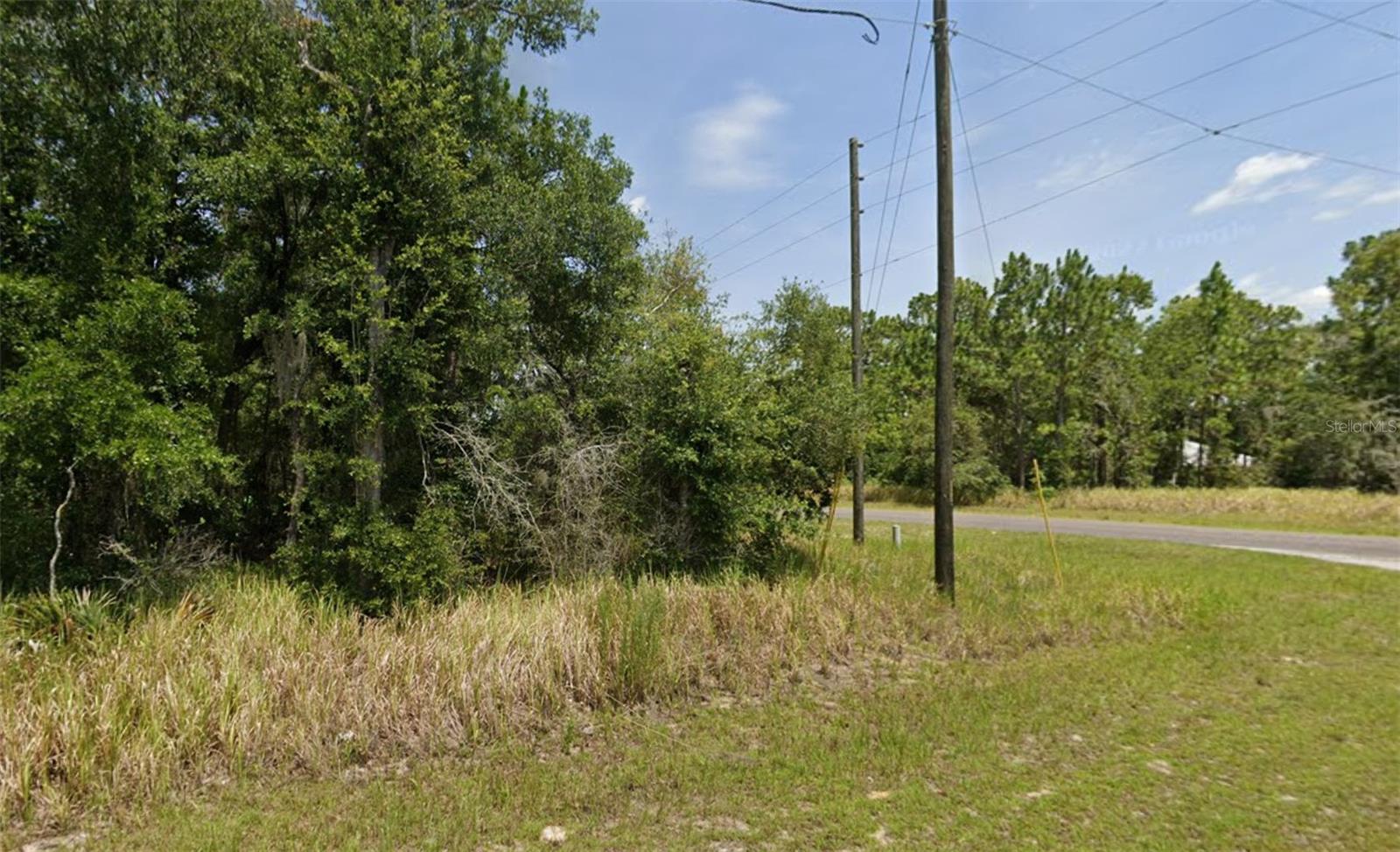 Lot 19 Locust Pass Ln Property Photo 1