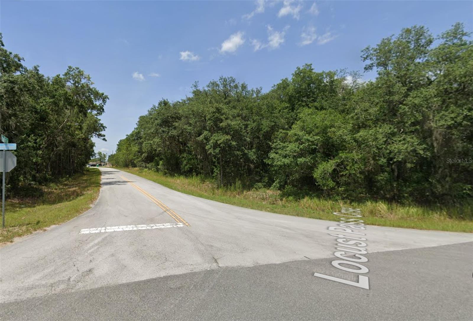 Lot 19 Locust Pass Ln Property Photo 2