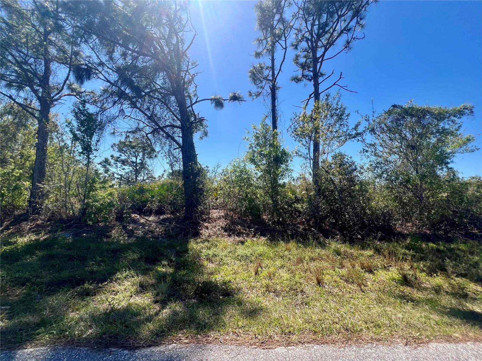 5129 Rilke Ln Property Photo 1