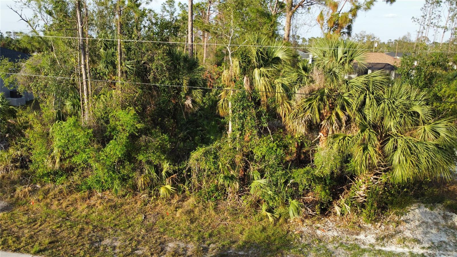 Sparkle Ln Property Photo 4