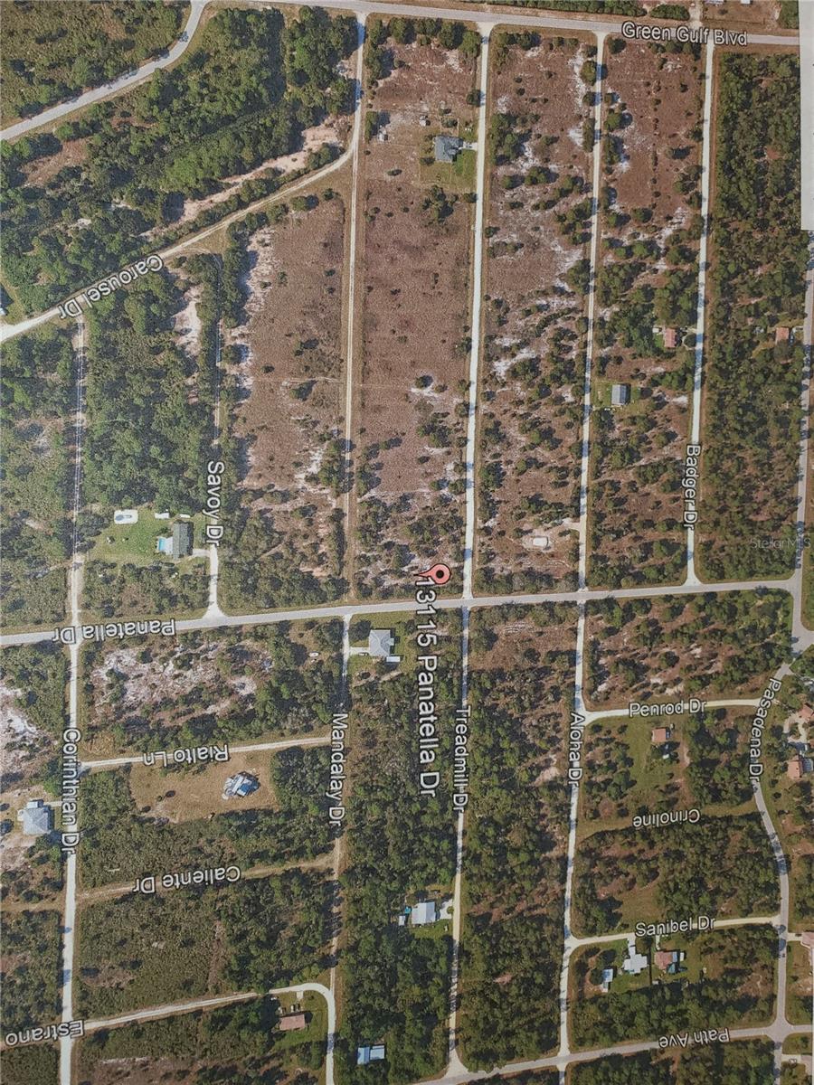 13115 PANATELLA DR Property Photo 1