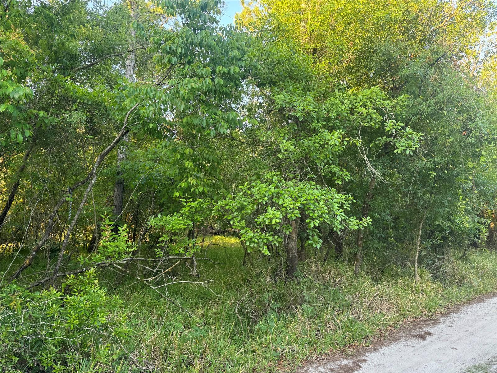 1297 Ne River Raft Dr Property Photo
