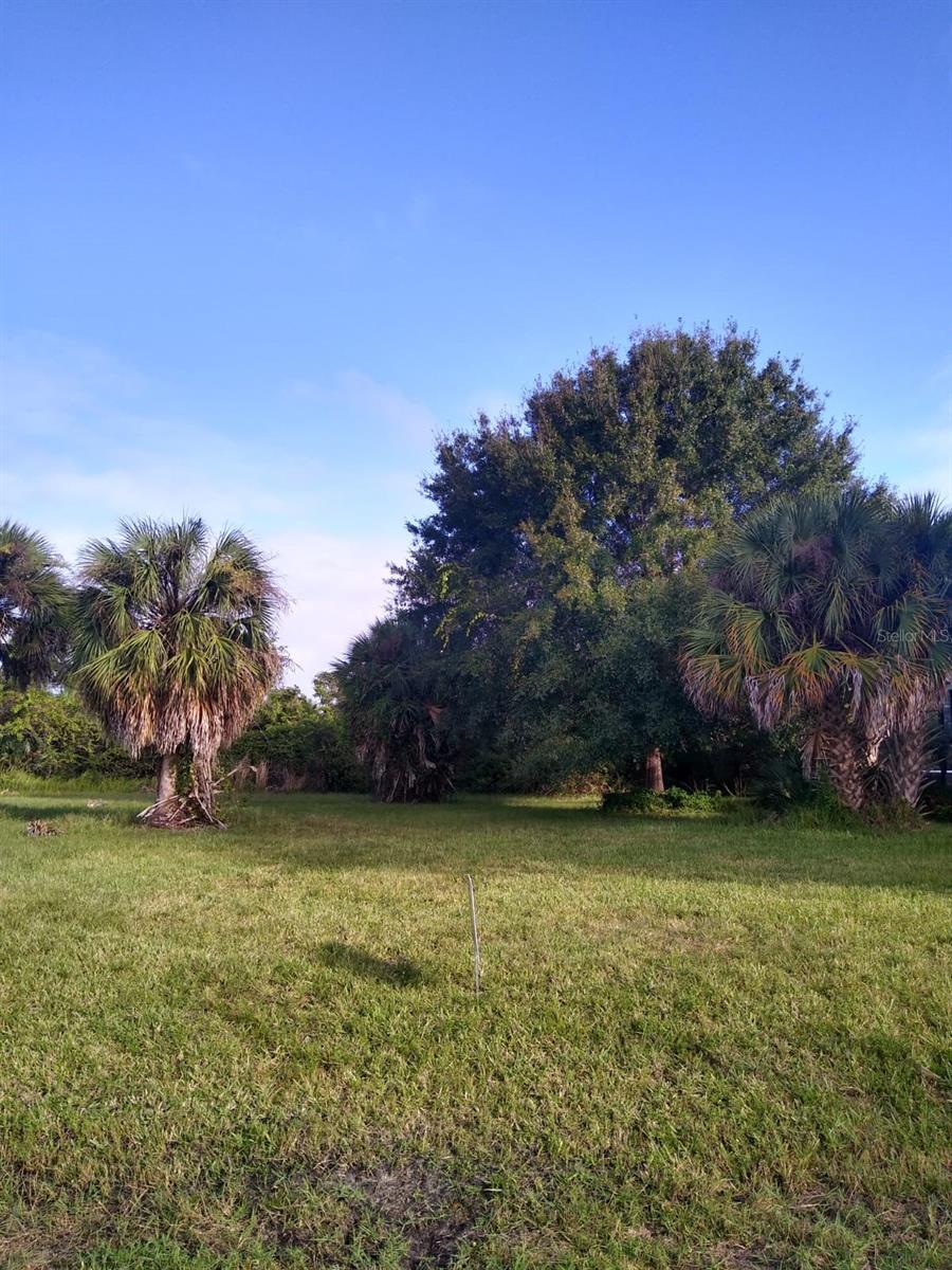 81 LONG MEADOW PL Property Photo 1