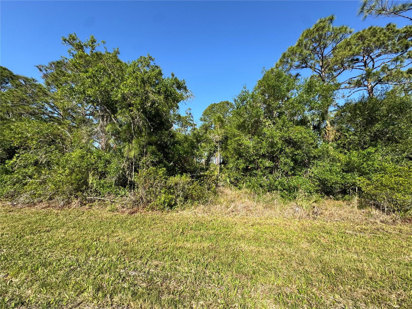 65 Biscayne Dr Property Photo