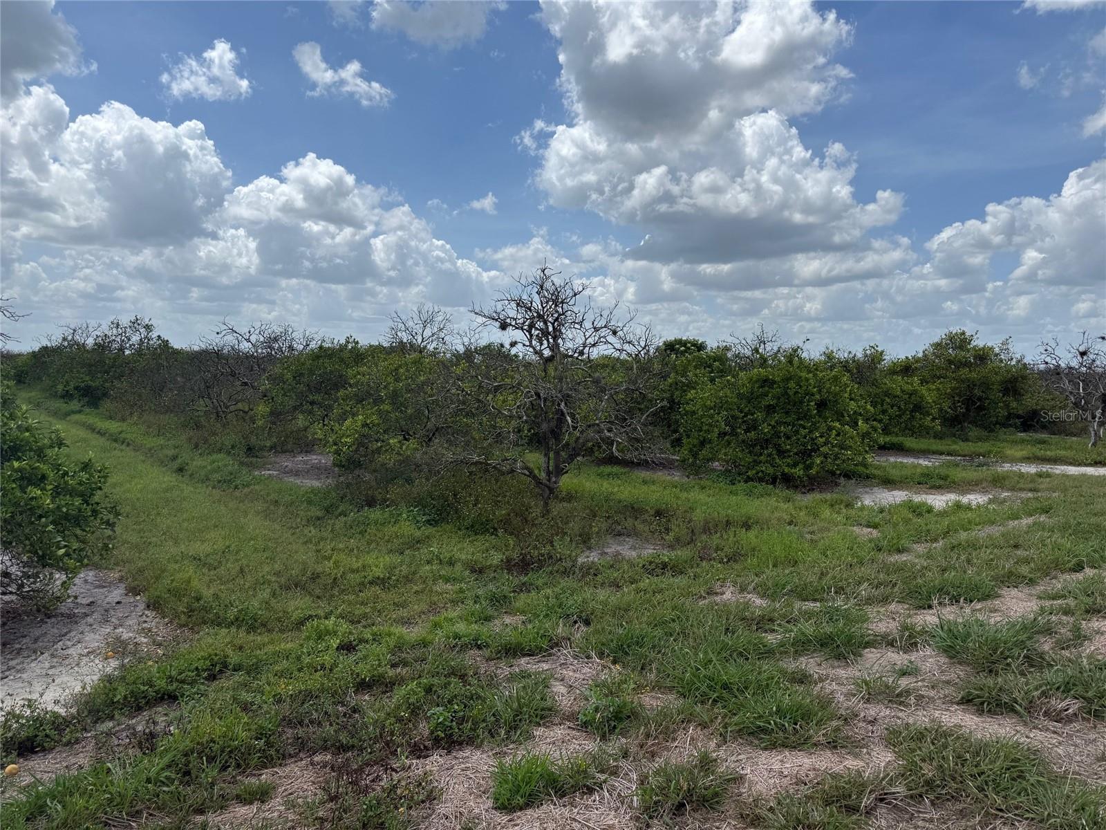 Ne Highway 70 Property Photo
