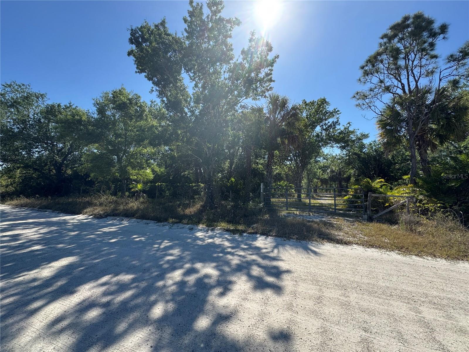 6469 Swiss Blvd Property Photo 3