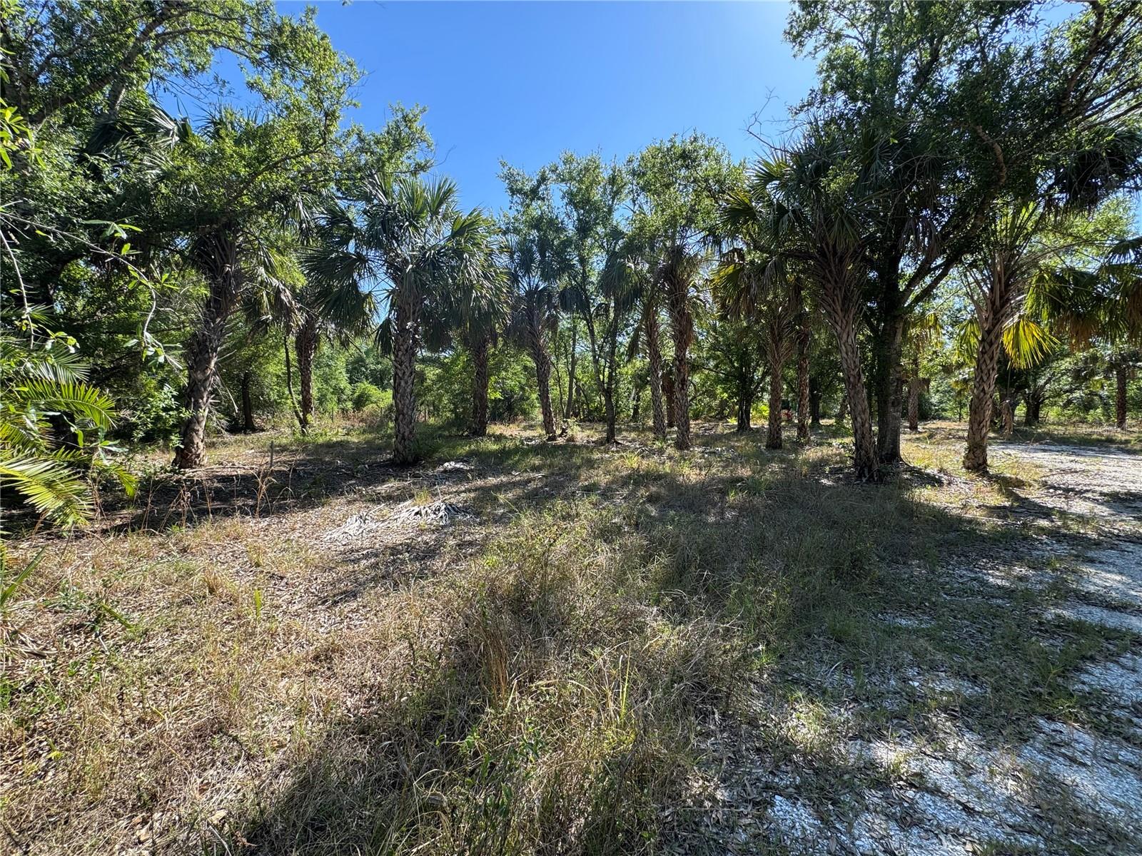 6469 Swiss Blvd Property Photo 5