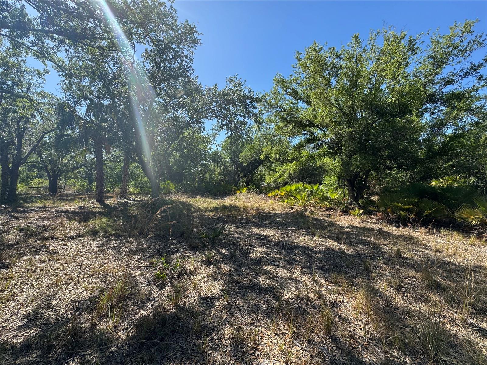 6469 Swiss Blvd Property Photo 10