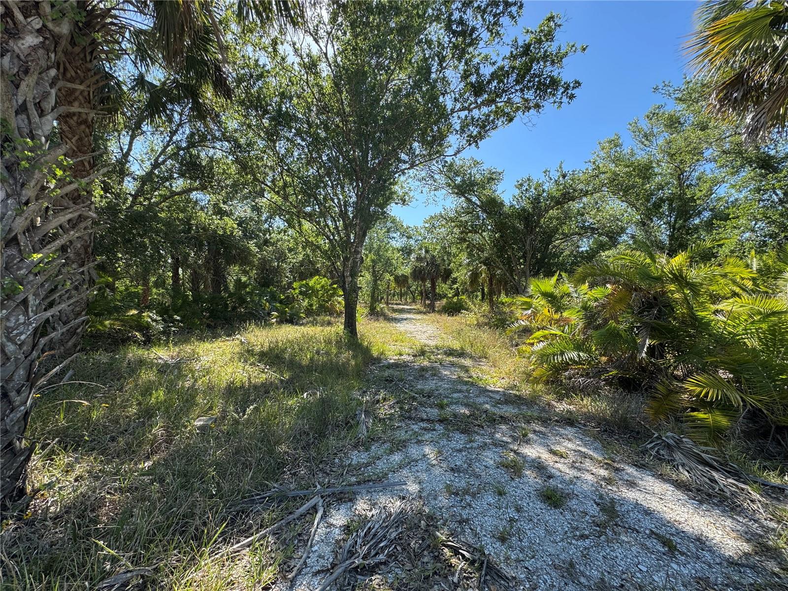 6469 Swiss Blvd Property Photo 14