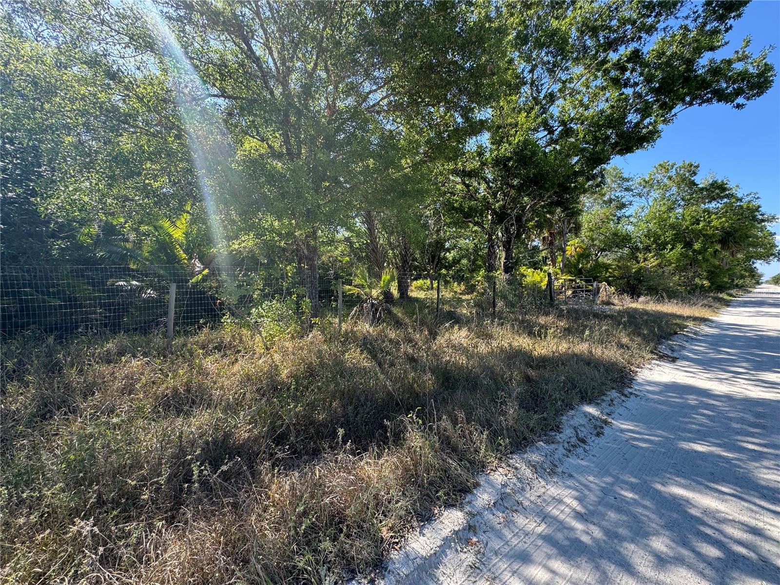 6469 Swiss Blvd Property Photo 15