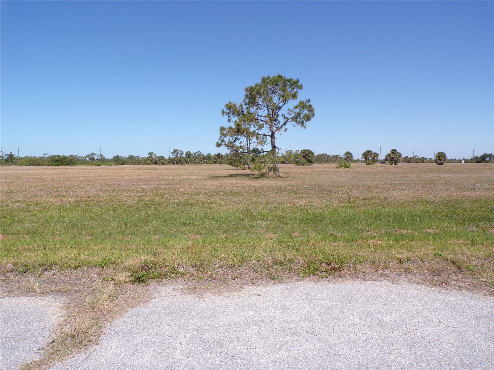 12163 Sea Robin Ln Property Photo