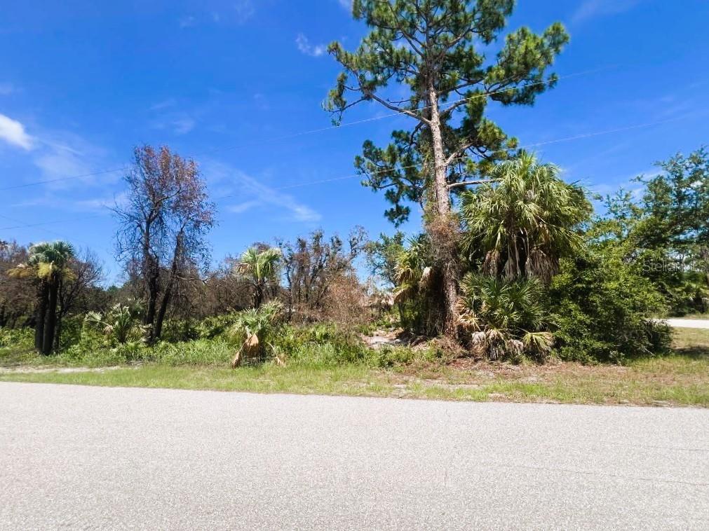 17128 Wintergarden Ave Property Photo 5