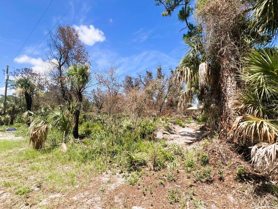 17128 Wintergarden Ave Property Photo 9
