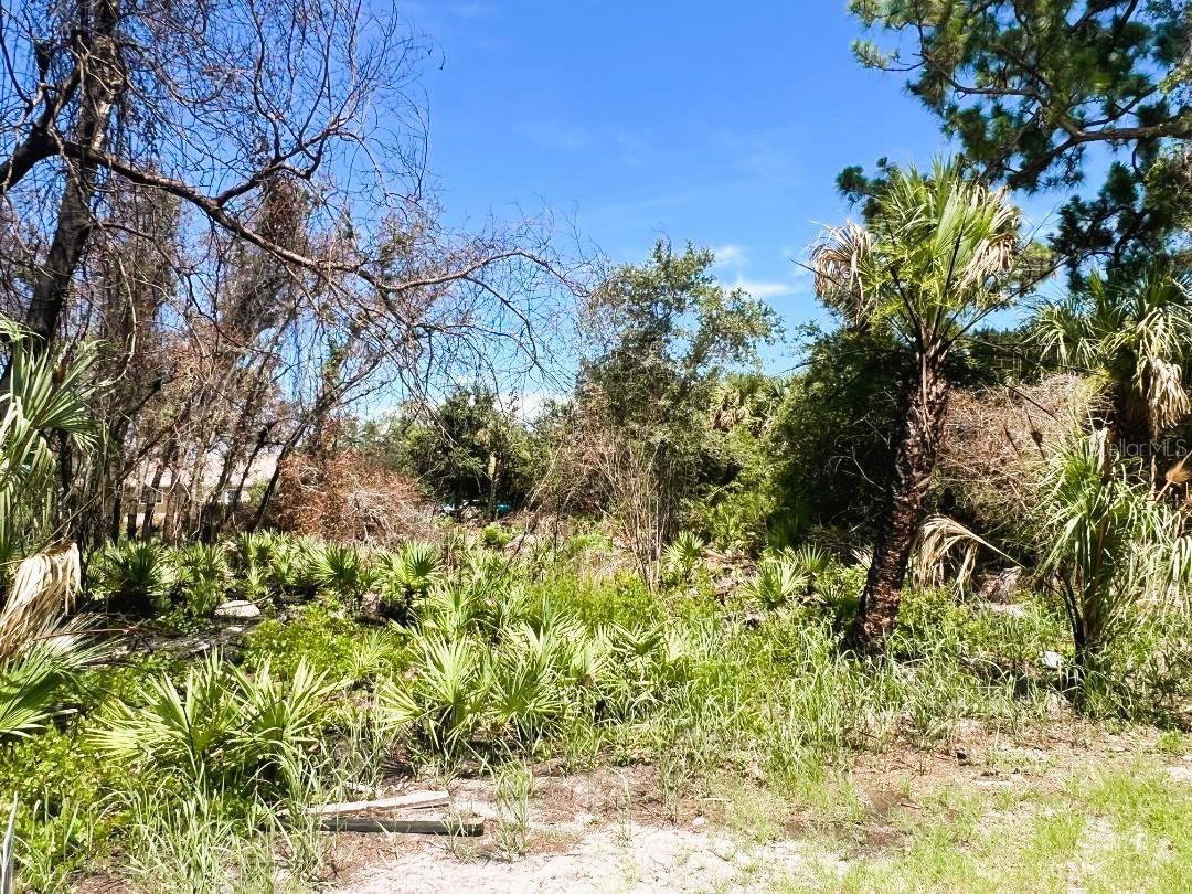 17128 Wintergarden Ave Property Photo 11