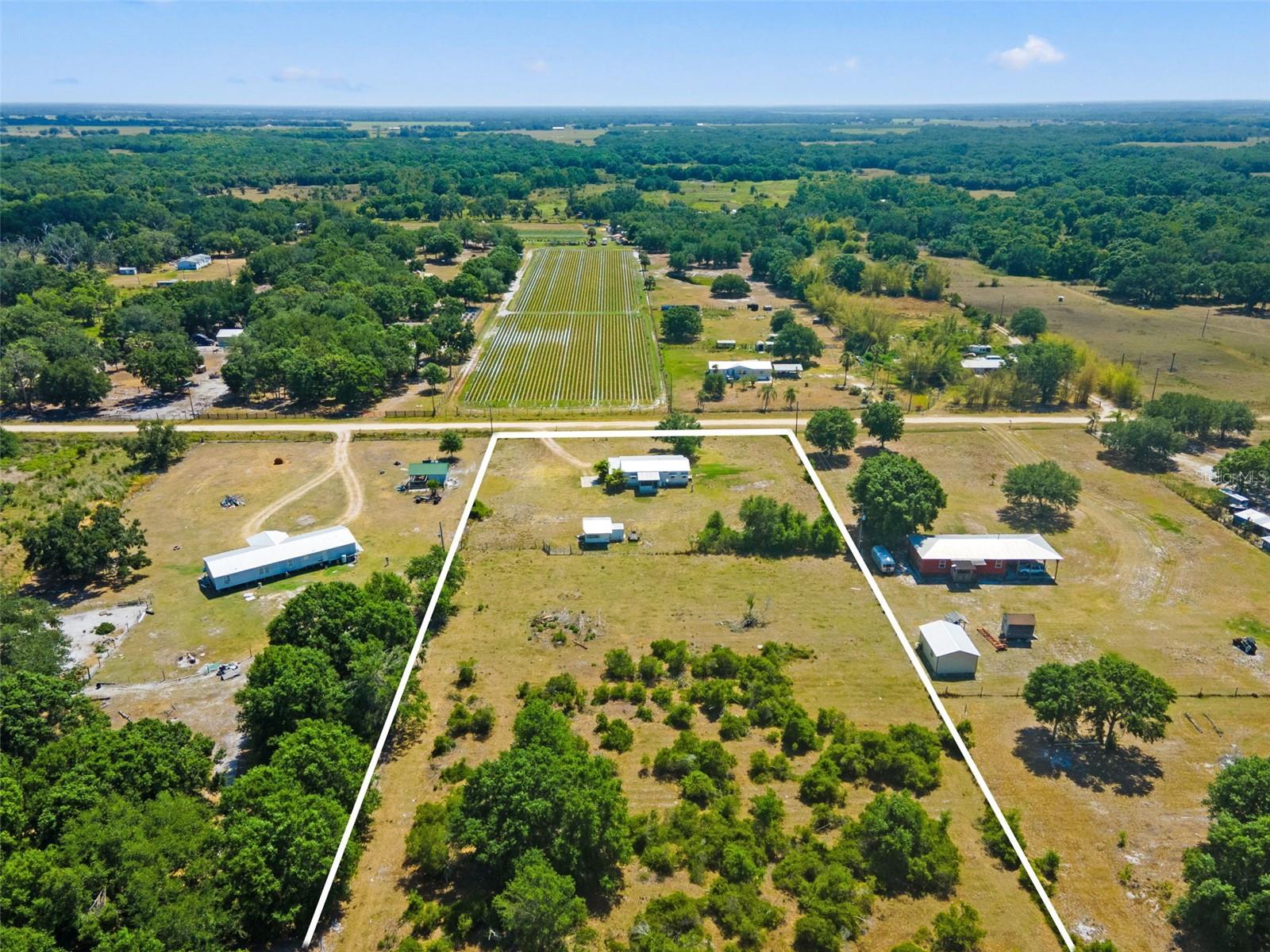 Zolfo Springs Real Estate Listings Main Image