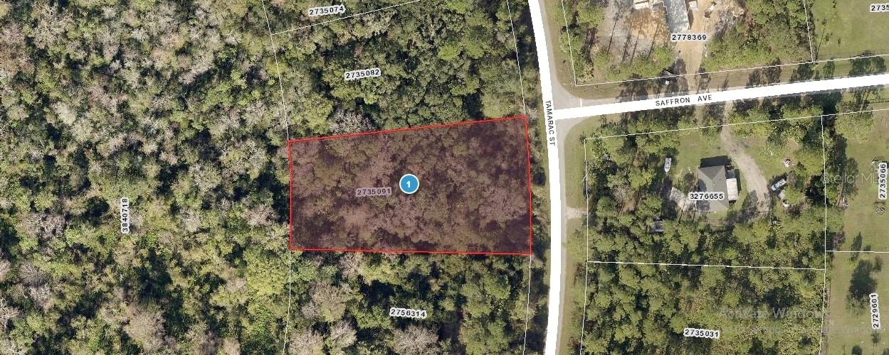 Tamarac St Property Photo