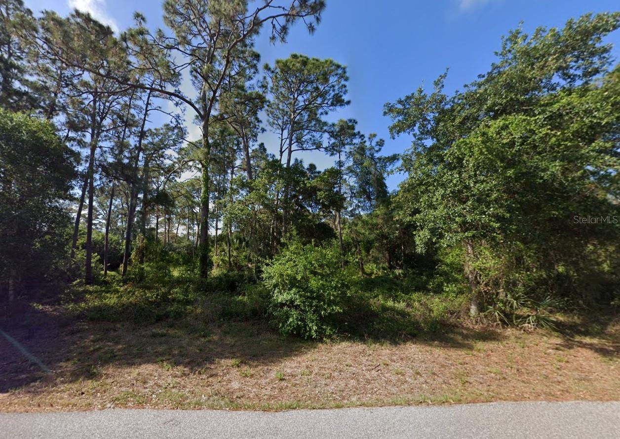 18095 Shirley Ave Property Photo 2