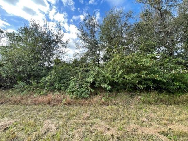 115 Marshall Ave Property Photo 1