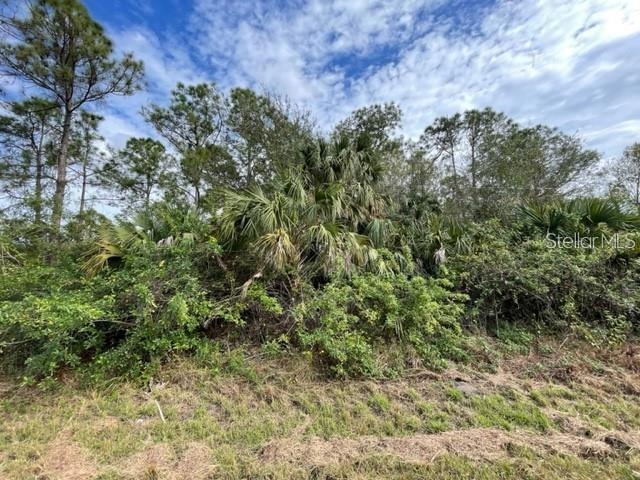 305 Wildwood Dr Property Photo 1