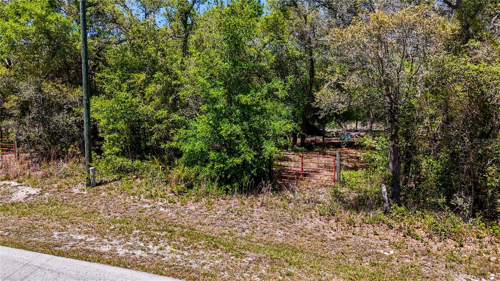 34281 Umbrella Rock Dr Property Photo 4