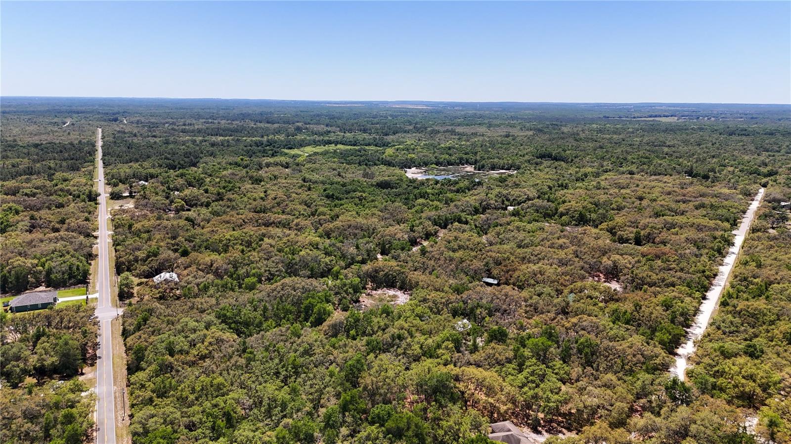 34281 Umbrella Rock Dr Property Photo 6