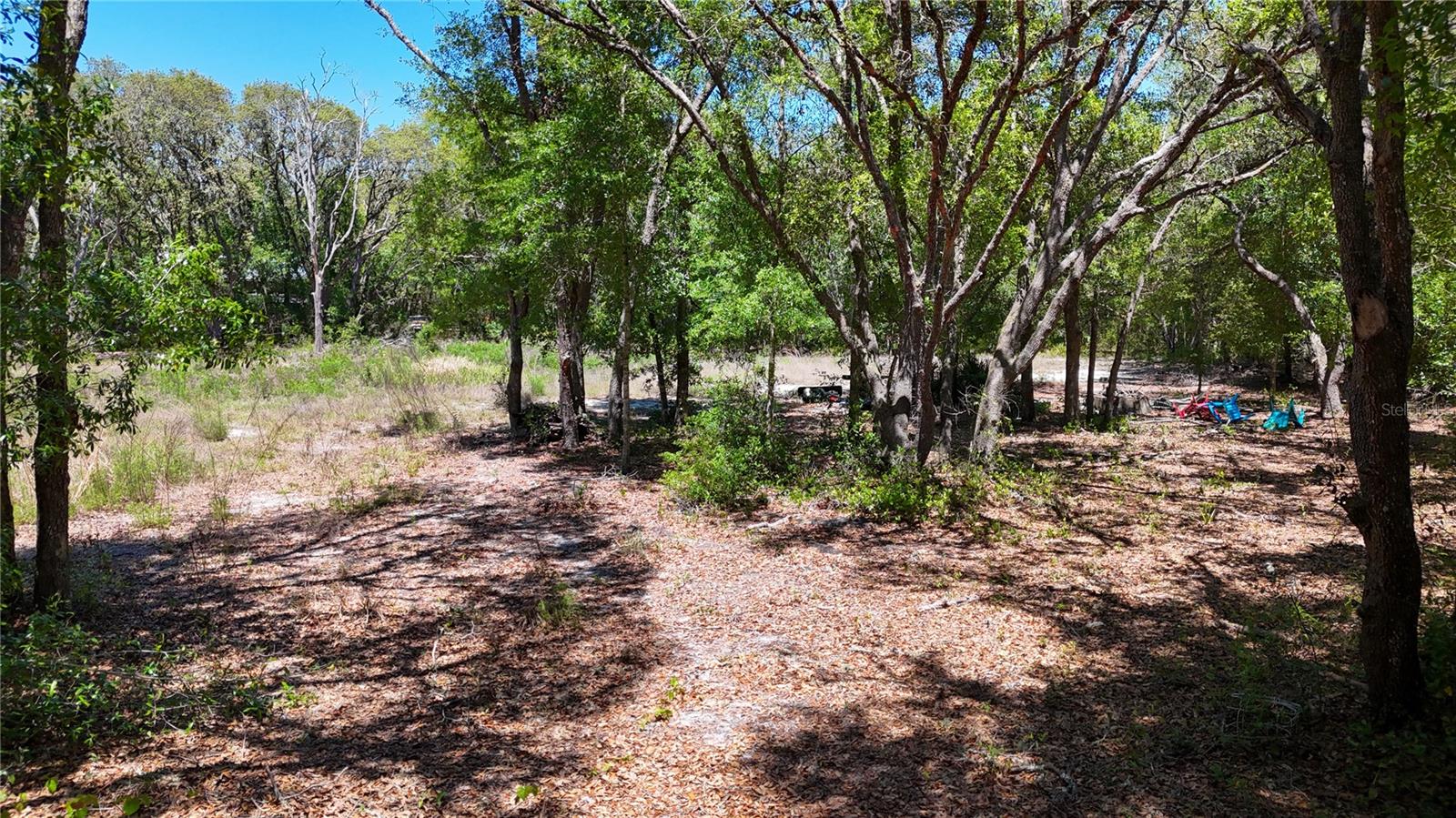 34281 Umbrella Rock Dr Property Photo 8