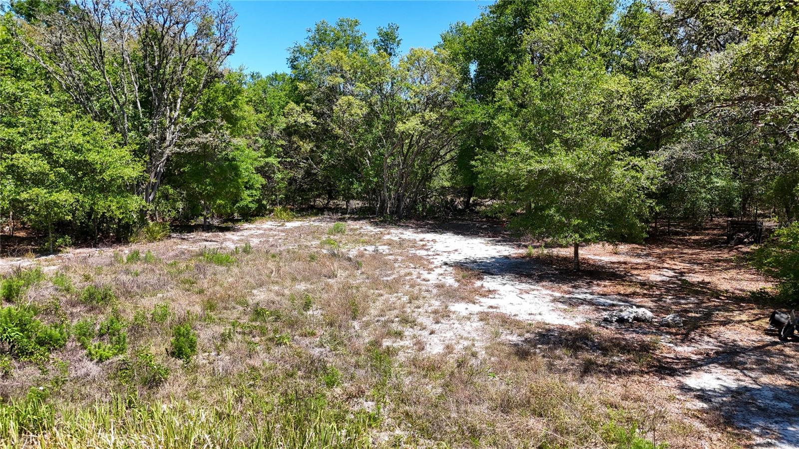 34281 Umbrella Rock Dr Property Photo 9
