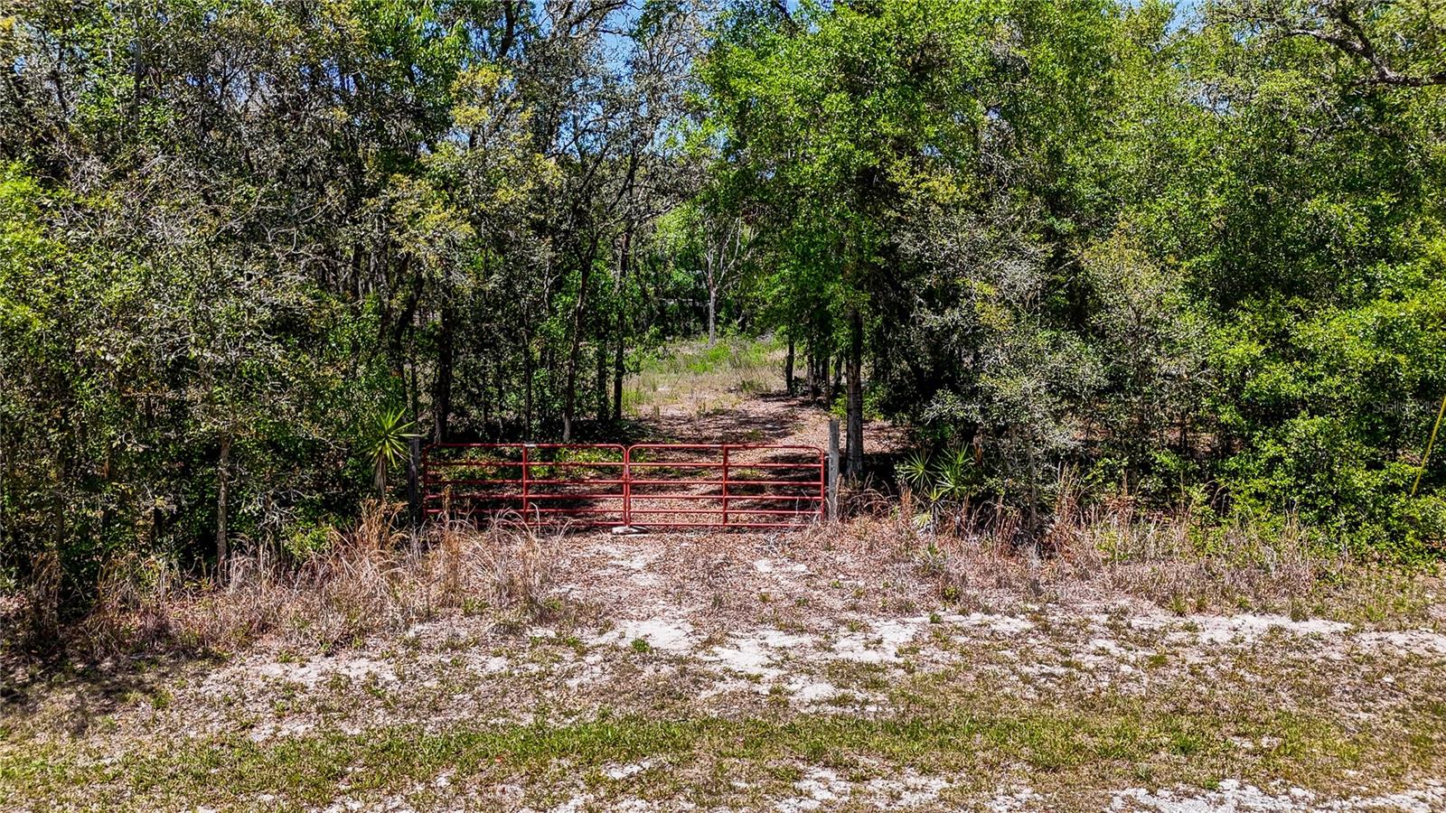 34281 Umbrella Rock Dr Property Photo 11