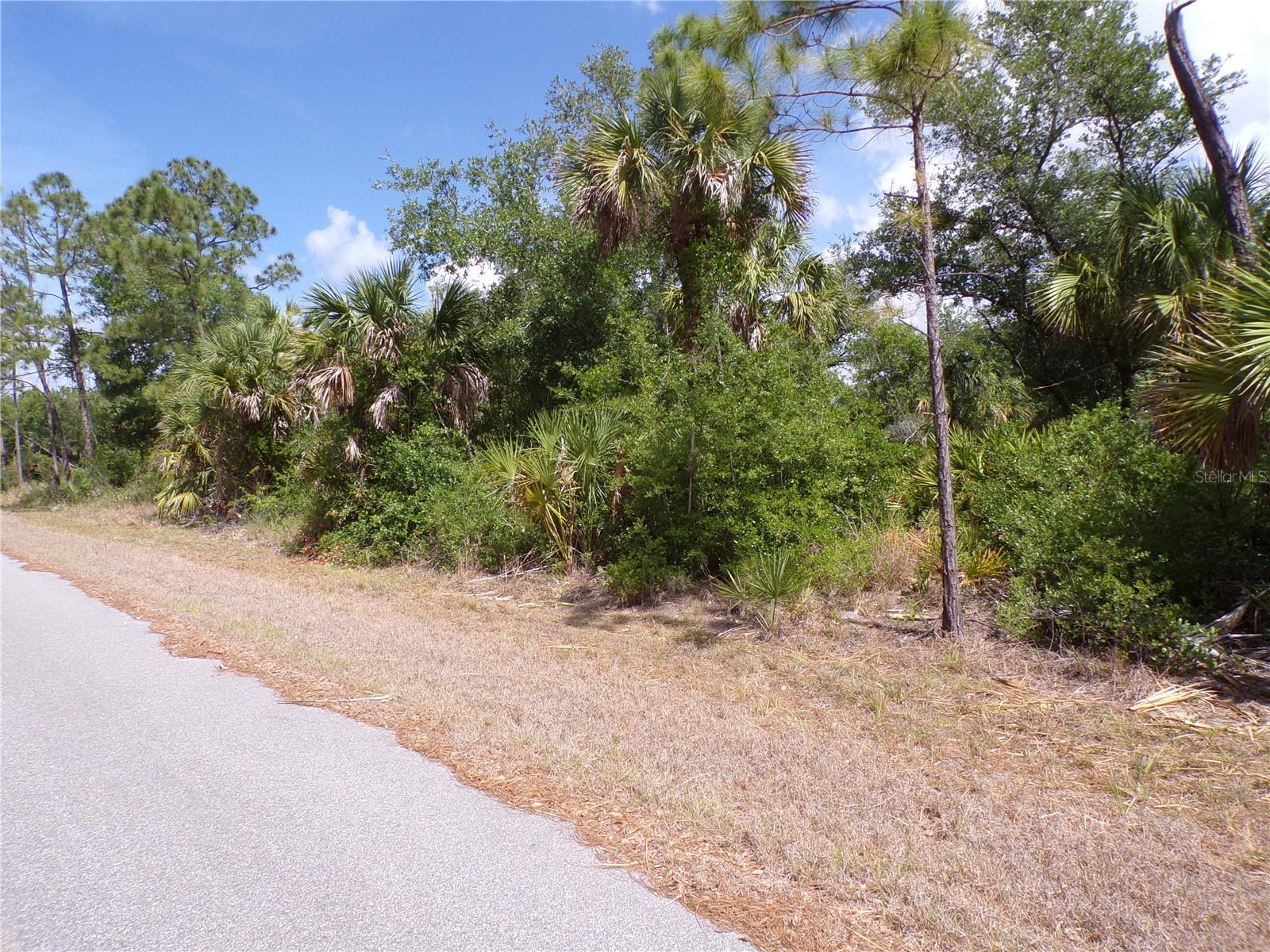 14448 Mcmillin Ave Property Photo 6