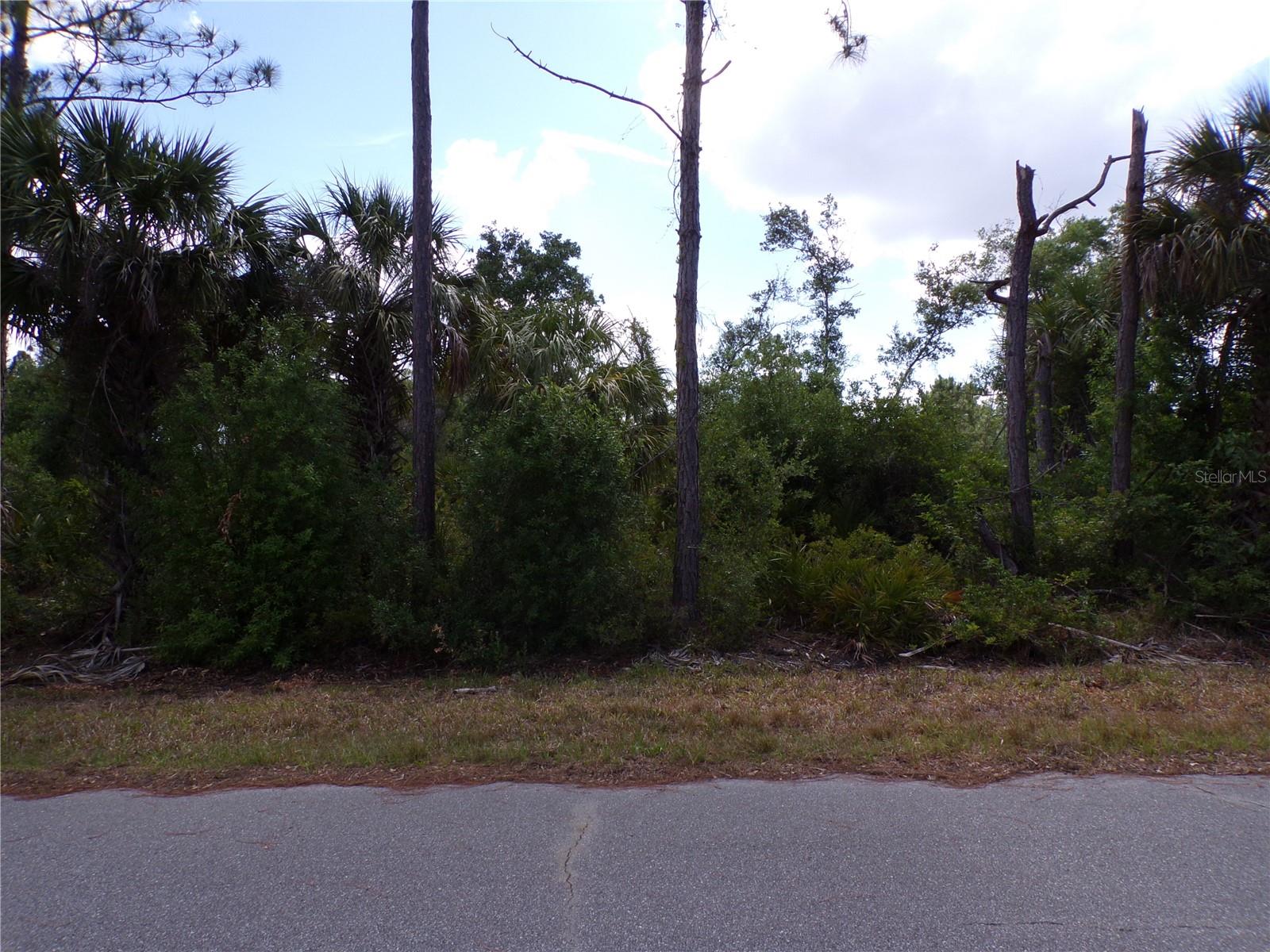 2300 Remagen St Property Photo 2