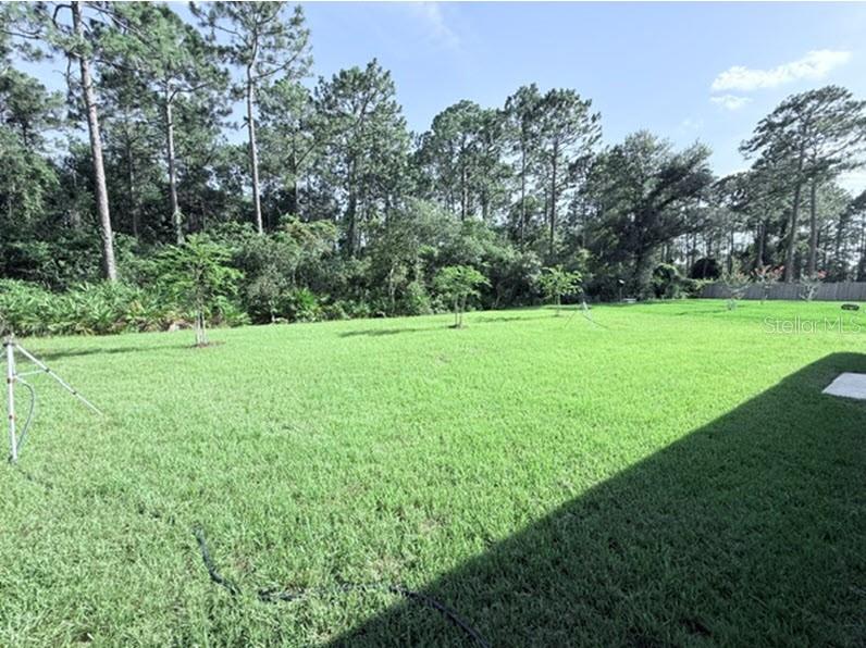 40 Laguna Forest Trl Property Photo 6