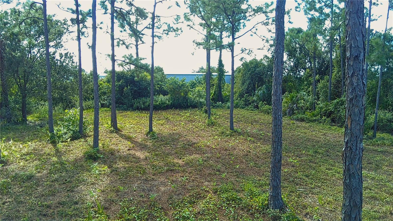 4685 Riverside Dr Property Photo 4