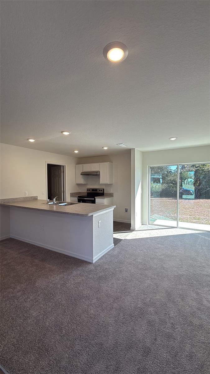 2638 Rock Creek Dr Property Photo 2