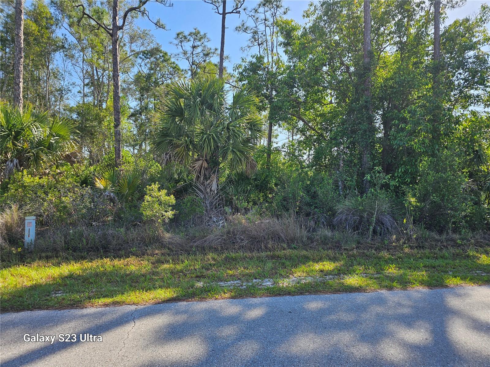 12392 CATALINA DR Property Photo 1