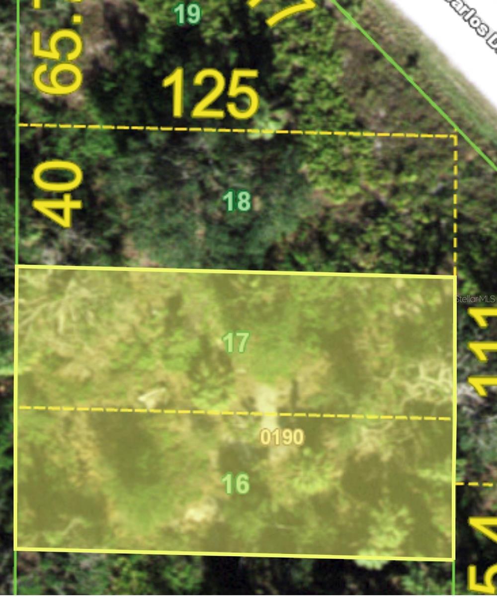 1226 Sulstone Dr Property Photo 3