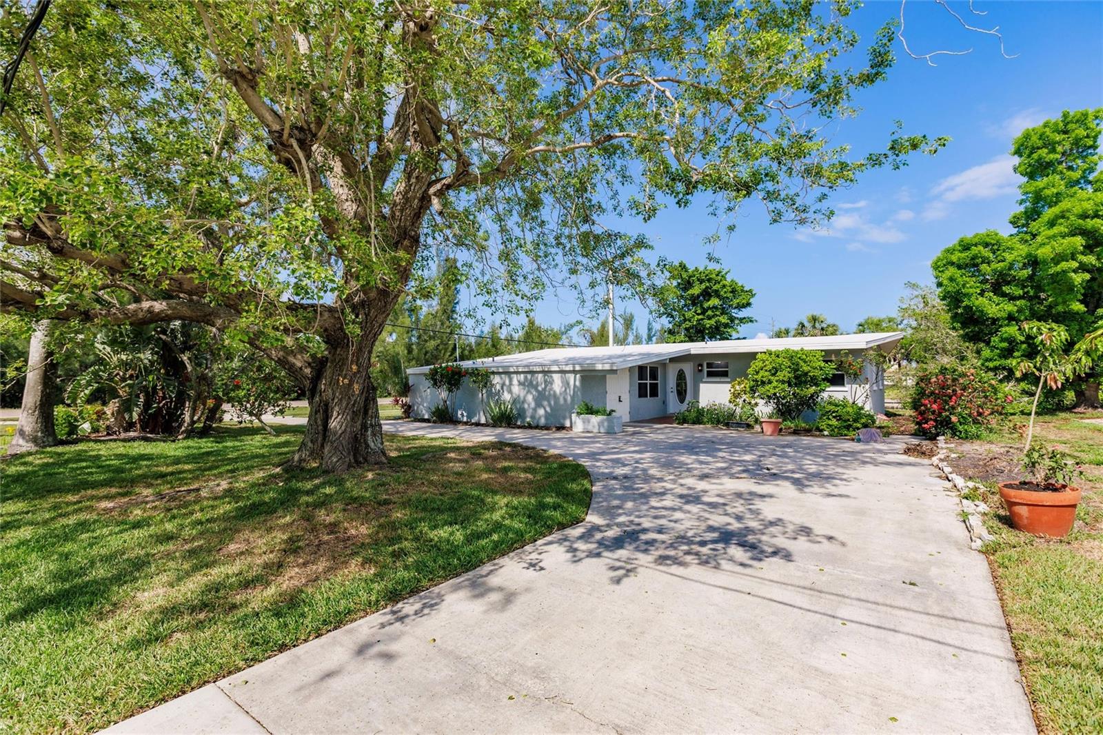 3129 BUTTONWOOD PL Property Photo 1