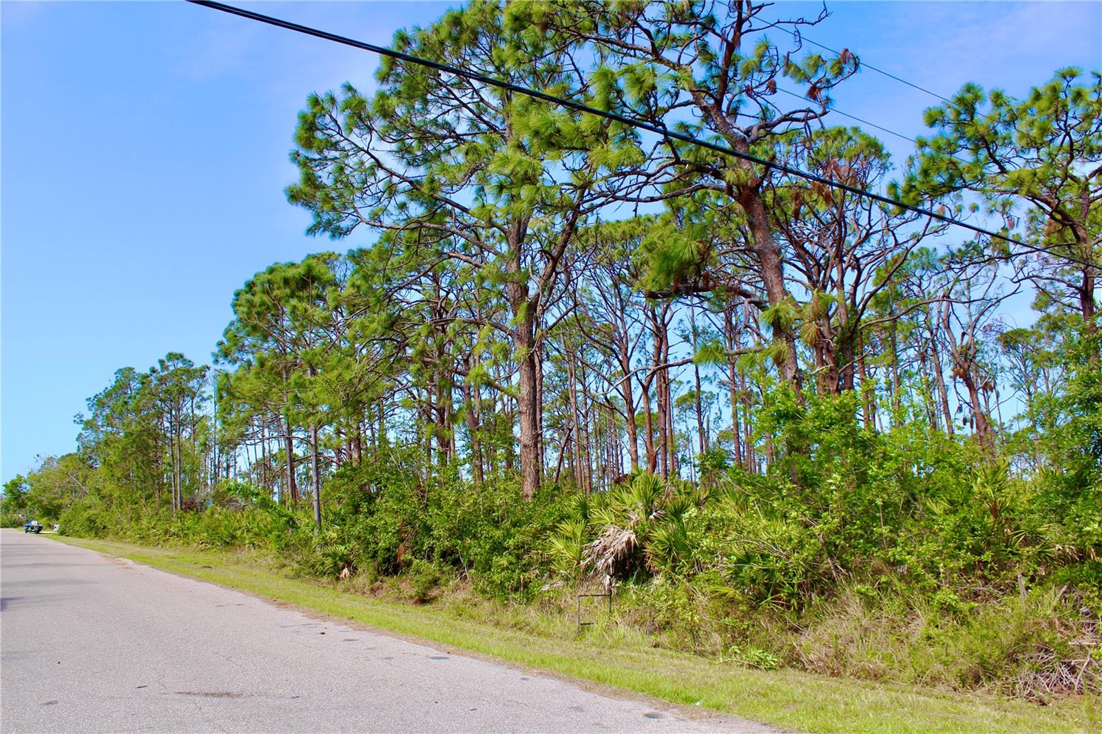 5237 CHANEY TER Property Photo 1